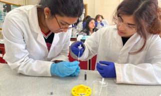 Science Prize Money for new Gel Electrophoresis Kits photography